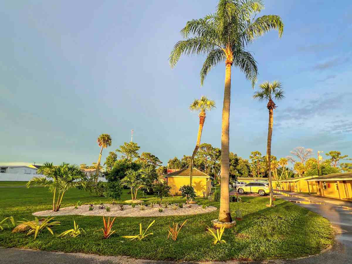 Park Motel gardens
